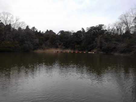 大安トラウトレイク 釣果